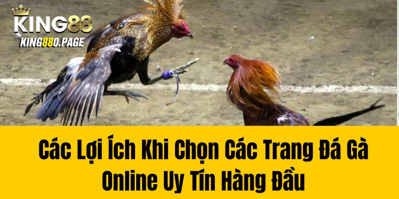 Các Lợi Ích Khi Chọn Các Trang Đá Gà Online Uy Tín Hàng Đầu