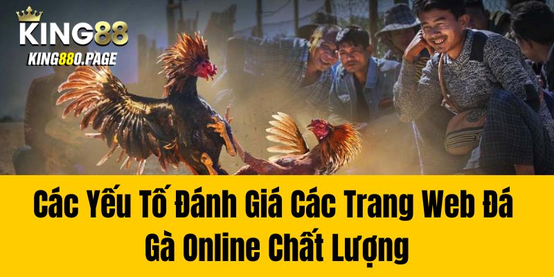 Các Yếu Tố Đánh Giá Các Trang Web Đá Gà Online Chất Lượng