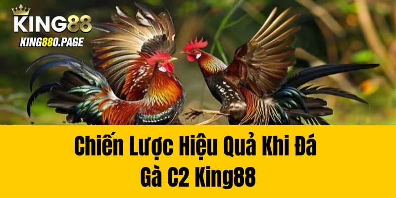 Chiến Lược Hiệu Quả Khi Đá Gà C2 King88