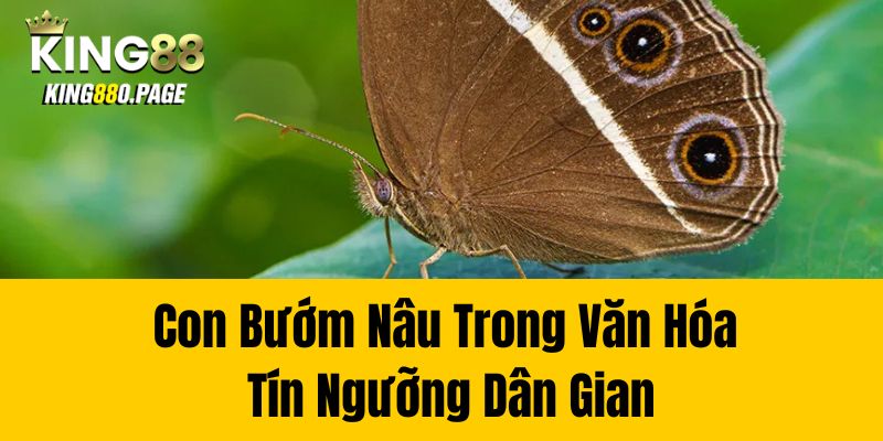 Con Bướm Nâu Trong Văn Hóa Tín Ngưỡng Dân Gian