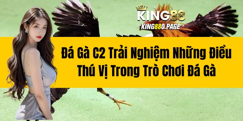 Đá Gà C2 - Trải Nghiệm Những Điều Thú Vị Trong Trò Chơi Đá Gà