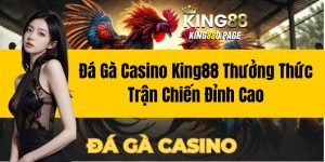 Đá Gà Casino King88- Thưởng Thức Trận Chiến Đỉnh Cao