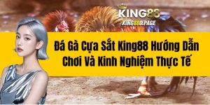 Đá Gà Cựa Sắt King88 - Hướng Dẫn Chơi Và Kinh Nghiệm Thực Tế