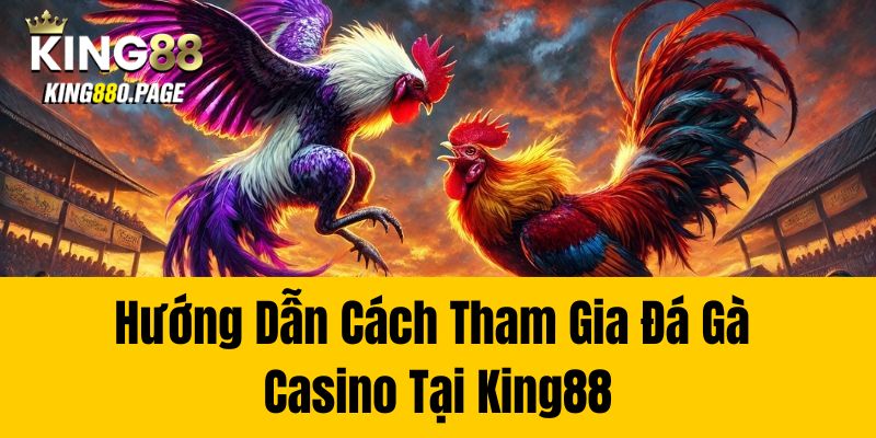 Hướng Dẫn Cách Tham Gia Đá Gà Casino Tại King88