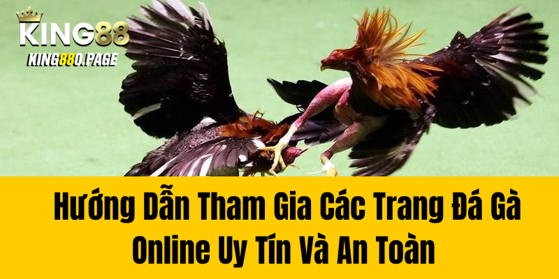 Hướng Dẫn Tham Gia Các Trang Đá Gà Online Uy Tín Và An Toàn