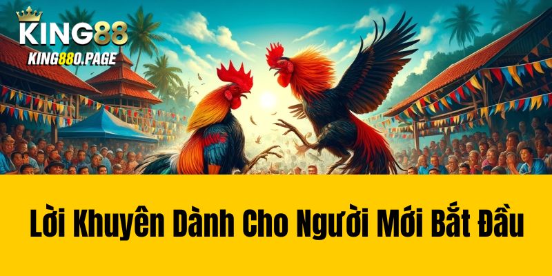 Lời Khuyên Dành Cho Người Mới Bắt Đầu