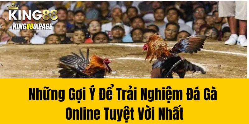 Những Gợi Ý Để Trải Nghiệm Đá Gà Online Tuyệt Vời Nhất