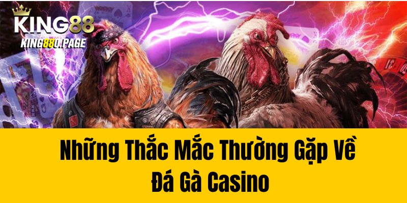 Những Thắc Mắc Thường Gặp Về Đá Gà Casino