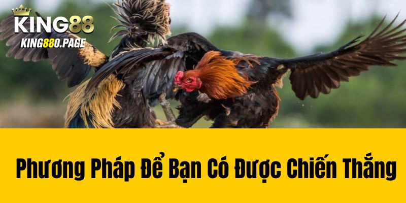 Phương Pháp Để Bạn Có Được Chiến Thắng 