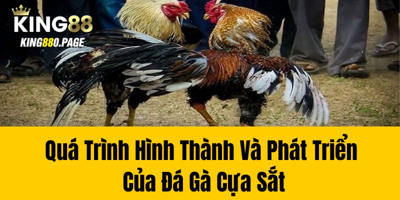 Quá Trình Hình Thành Và Phát Triển Của Đá Gà Cựa Sắt