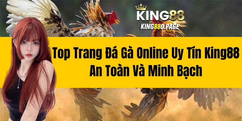 Top Trang Đá Gà Online Uy Tín King88 - An Toàn Và Minh Bạch