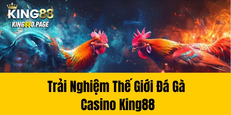 Trải Nghiệm Thế Giới Đá Gà Casino King88